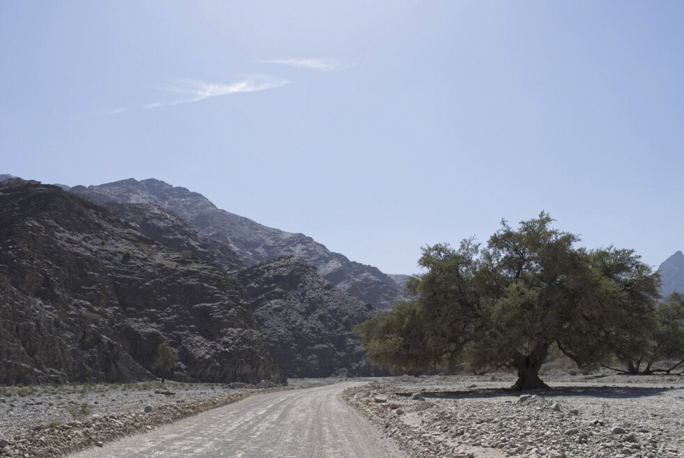 Oman gravel road