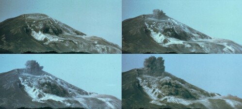 71ae04dea054af8ab9b37ec45e96f8e27b608d8806f01b296761a8e10e7c9e4b.jpg