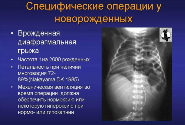 c696ced1208c1534d9dc86de444c945796bca11151340e2608413ae1706008a8.png