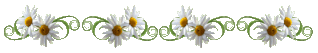 9913d176d42ead3e5fc2b960c6dd5efdcfa31498a9c2ded4e7159f0ae187dfb5.gif