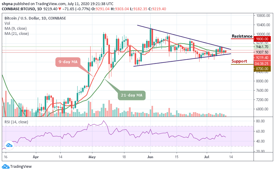 shyna trading view