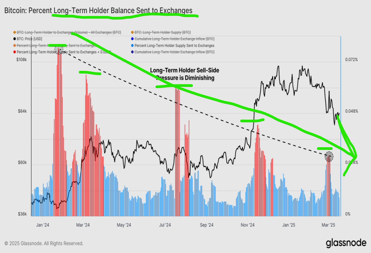 bitcoin long term holders