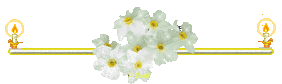 146c4066a14a2872ccac7babb5789443d0f5e9cf543bcb5c921fbe266cc36963.gif