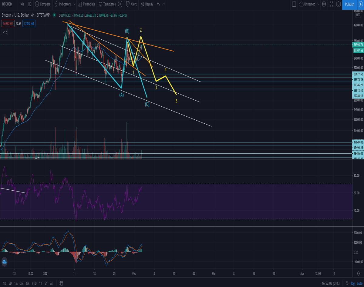 Bitcoin Bear count