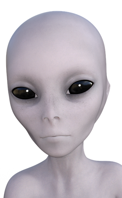 90d4f2b474fea410ecd86d9e8248d18bc38d6a3109f4ae5a6f00972e08780292.png