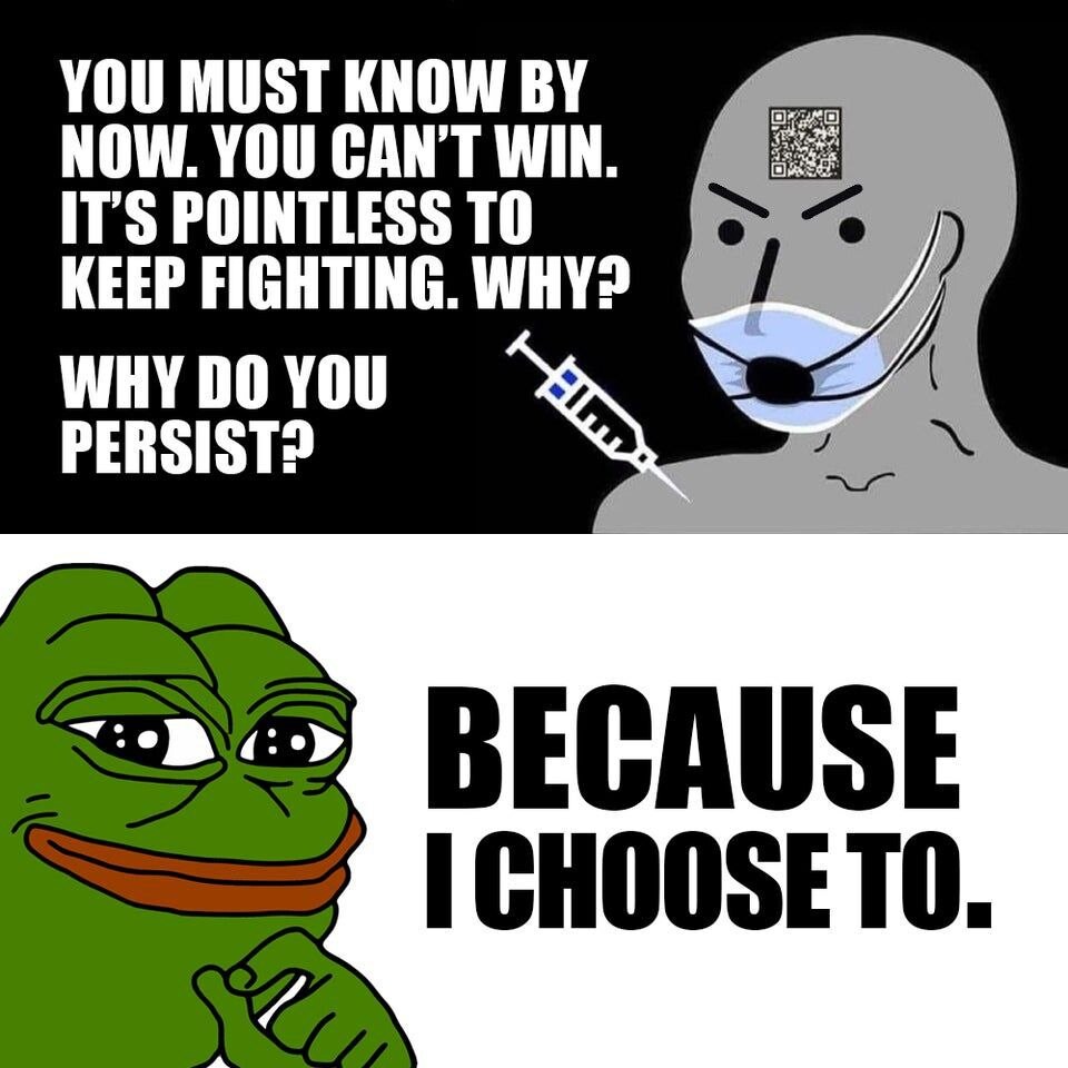 2ab0b953ea46bbb21b67b441ae80d0b24c246c28e654d0829805eb353687e74f.jpg