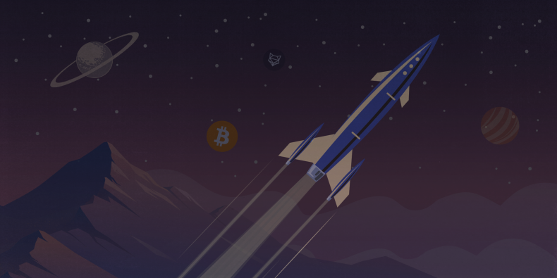 Fox to the Moon