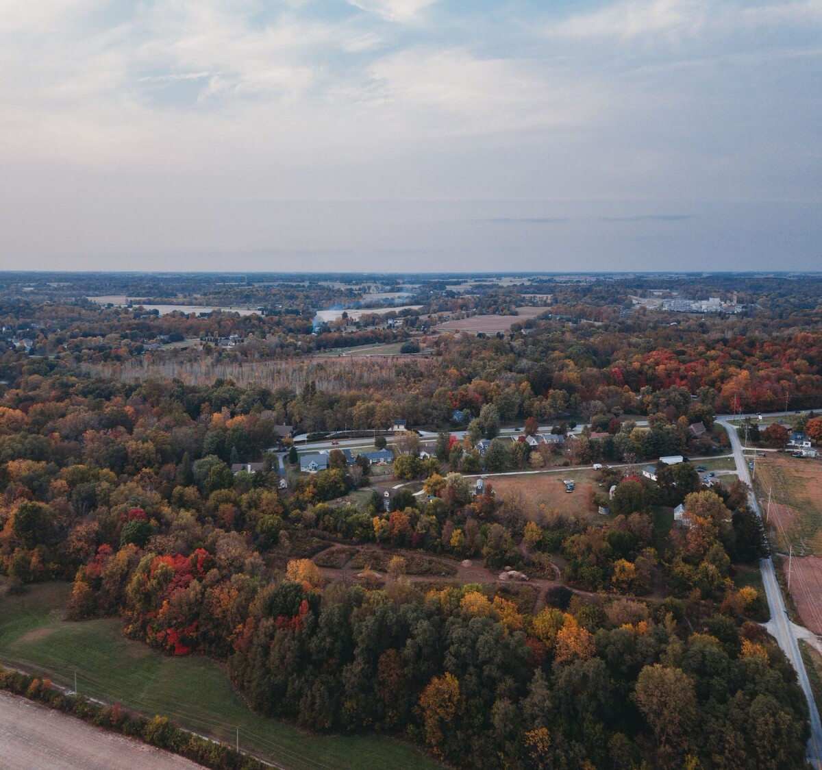 trees and roads in fall