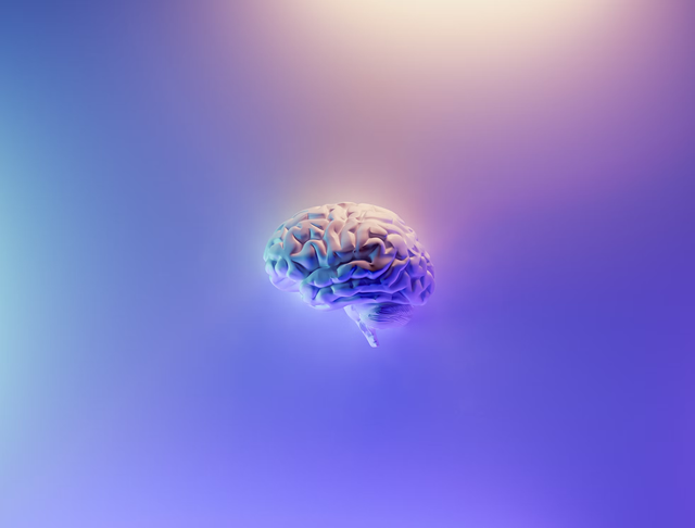 d7fbaf6cc82a002a7665e4269c36cee7796b49df7464446152a99d71c7ac6528.png
