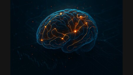 brain