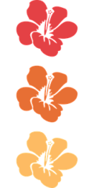 5a8d55791f0b1790c2eb953ee83dde523f96ca6dd9e2f10a5ff14558a21228ce.png