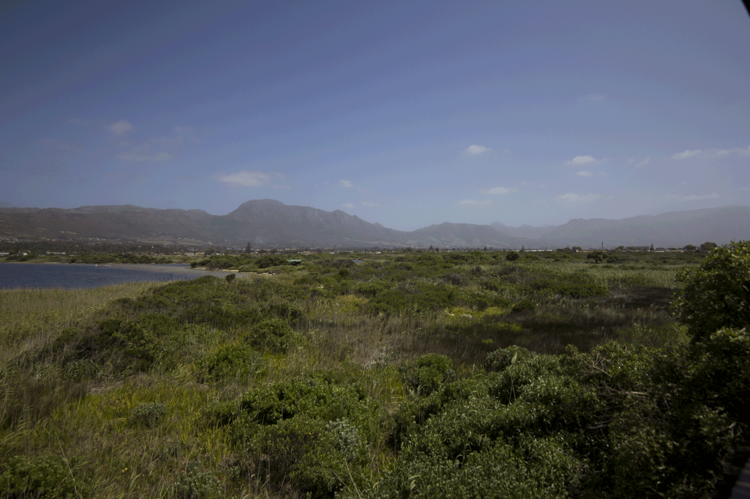 Panoramic