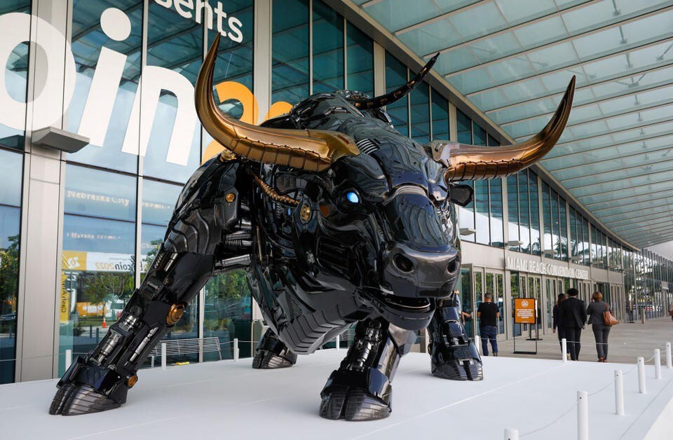 Miami bull