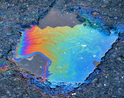 Reflection of light in oil