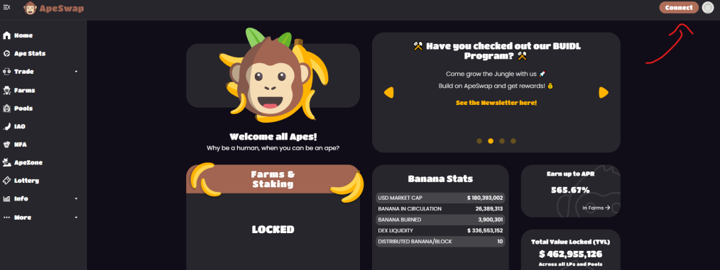 Connecting your wallet
