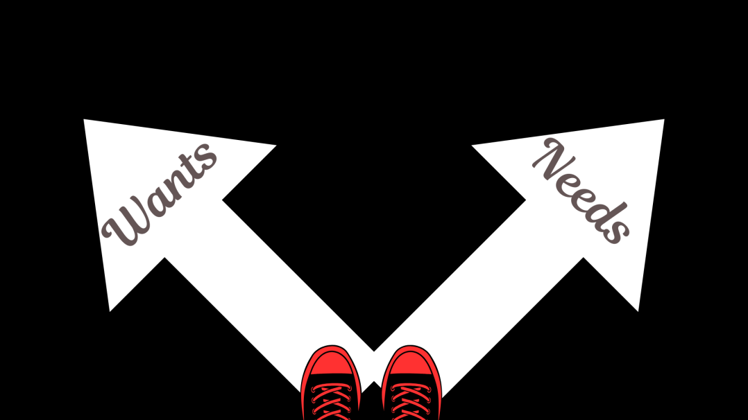 Needs vs Wants