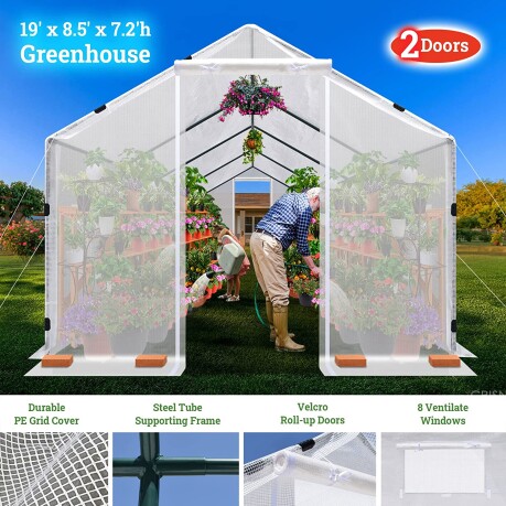 Mini Greenhouse Tunnel Greenhouses