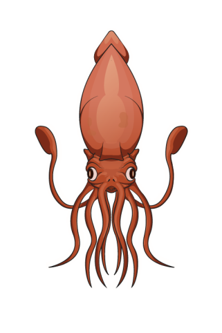 d8c1efd20b5bbebcce105c42ea2adae404fb57990b4b7ffae50201b27f98f62e.png