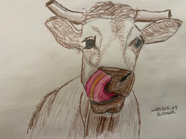 Cow sticking its tongue up its nostril - colored pencil