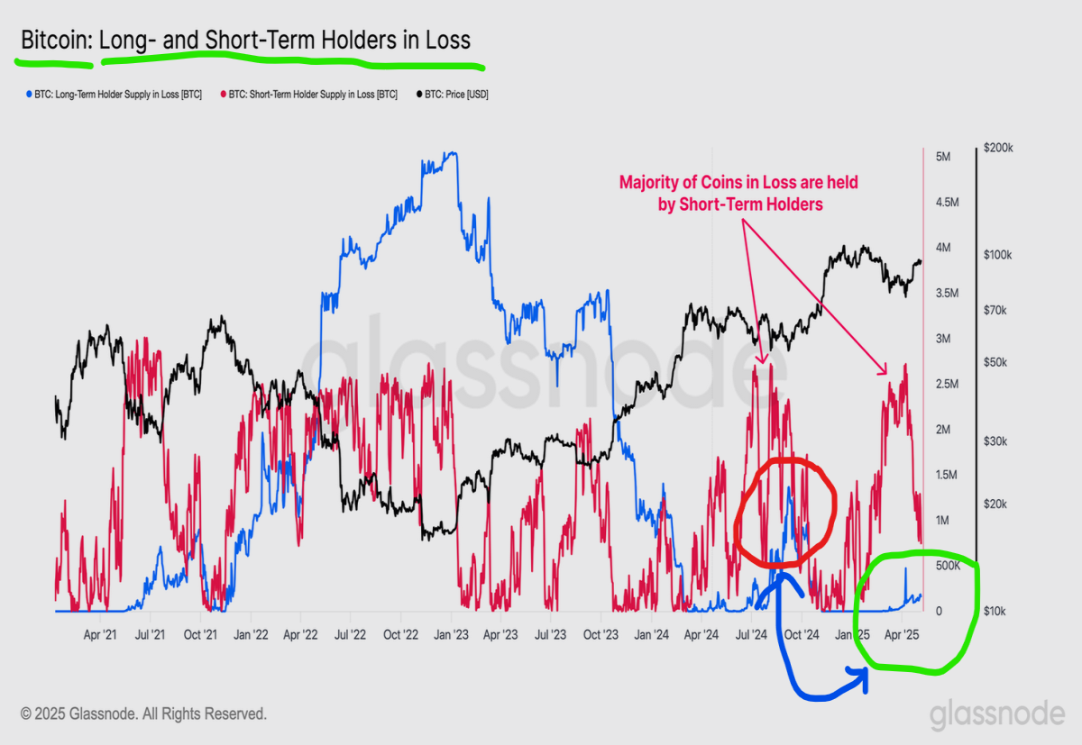 long term and short term bitcoin holders