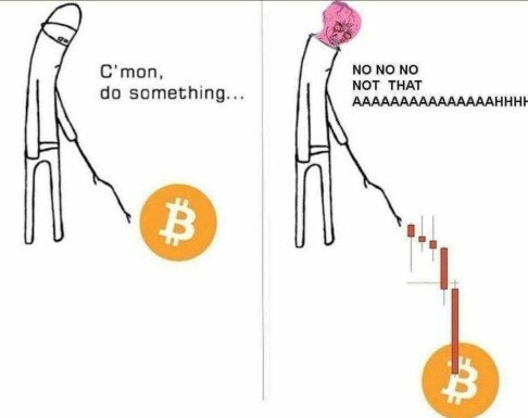 78358f3b7b7709cdba5676b23cc8d255ad8faf55d98ee797530306e46ad771b0.jpg