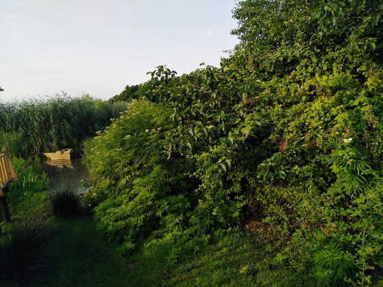 Guilan, Iran