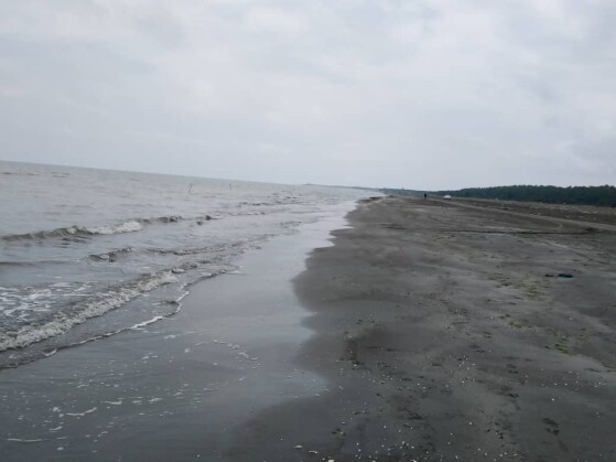 The Most Divine Seashell Beach I Could Find | North of Iran Nature