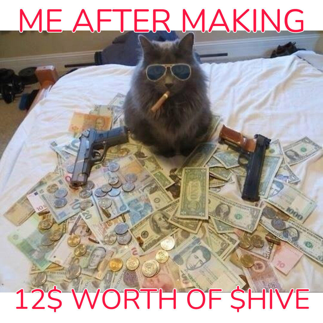 hive pays for your content