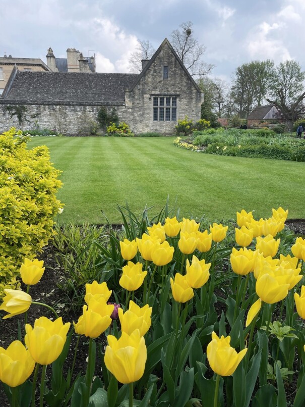 Christchurch. Oxford University College