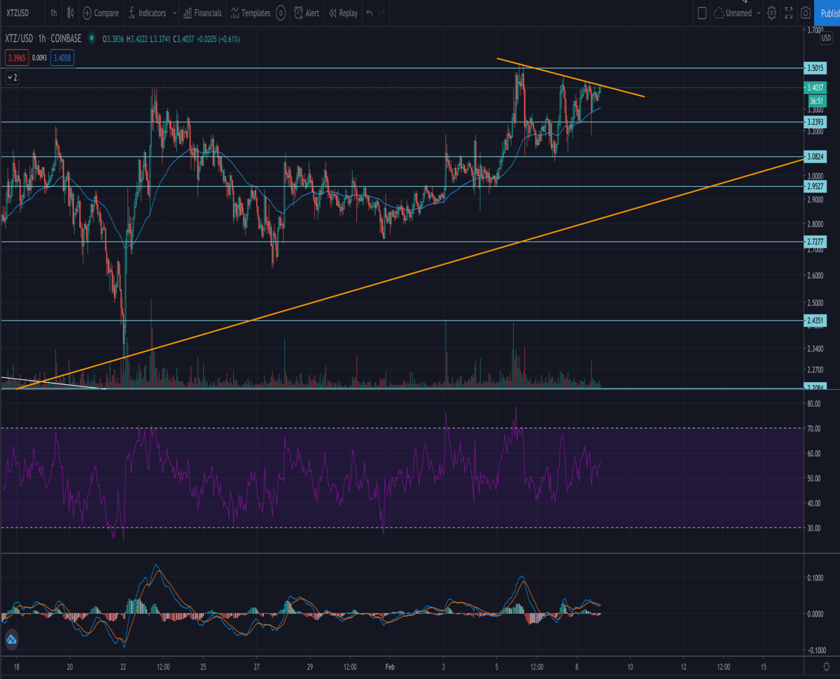 Bullish Tezos