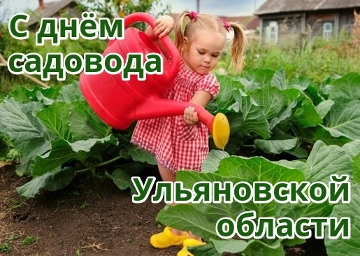 51940b3e52094e59f650f0c1b9f65526238c3cd26054f99439024badfad63743.png