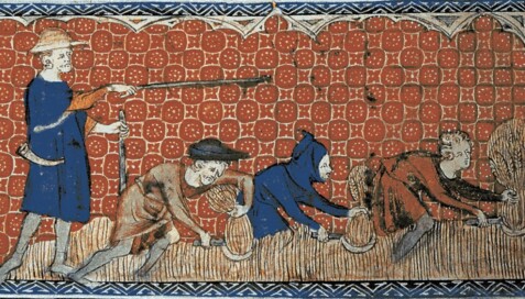 Feudal Farmers