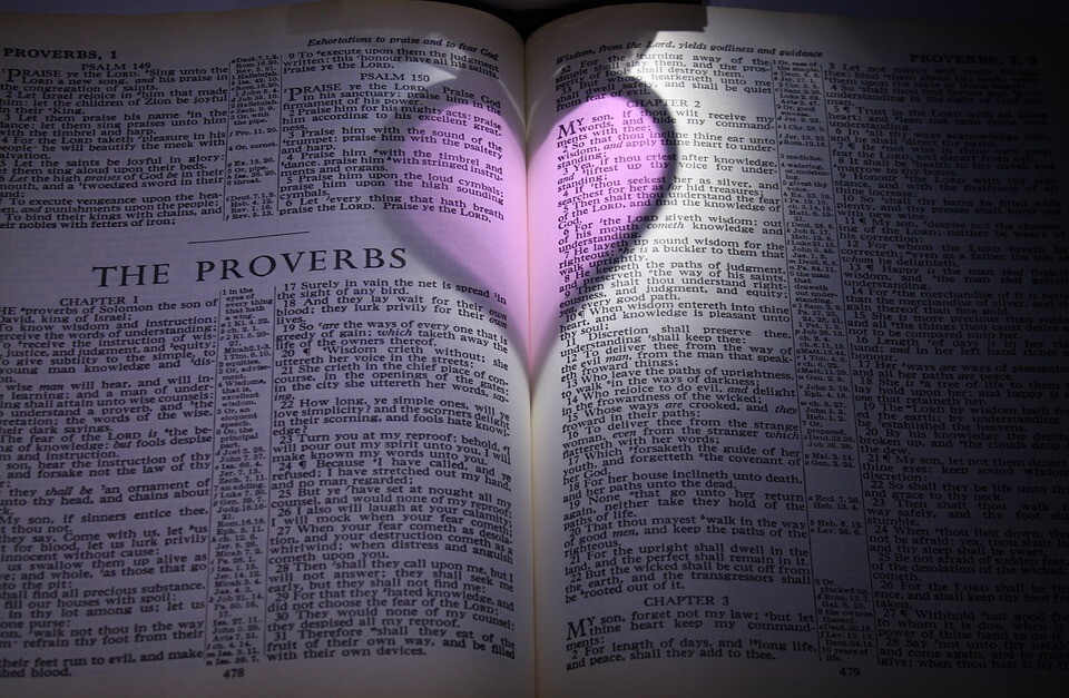 The Proverbs
