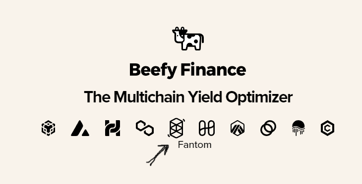 add fantom to metamask