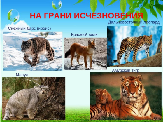 b58634240ea61a6bd4e2d0b32e259d97e6450247bd815b096c8c67b62832621e.png