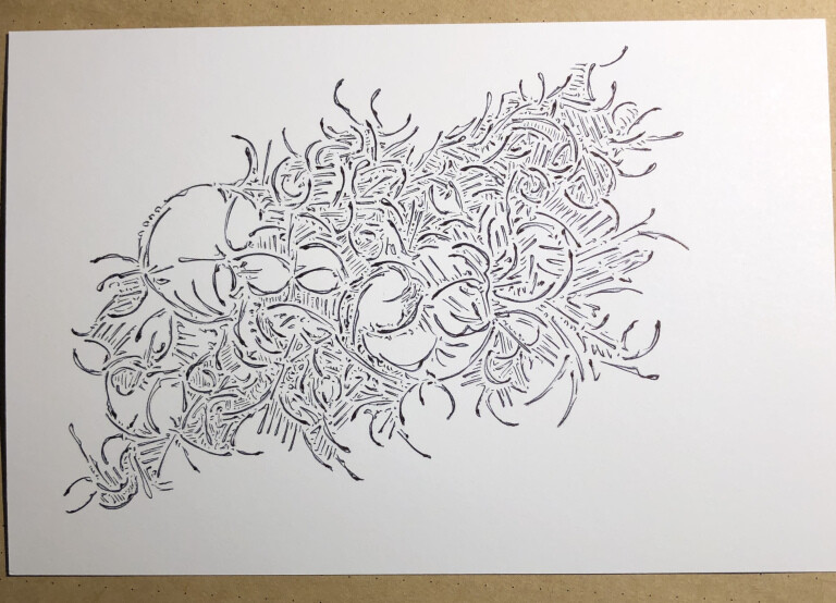 Drawing by Aidan Badinger