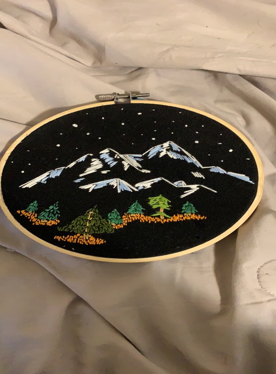 My 2nd embroidery ever!