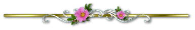 26c39d847d68edb7c0e7c16b1788a32fb3ebebb10dd190e0f9f49be3692cabb3.png
