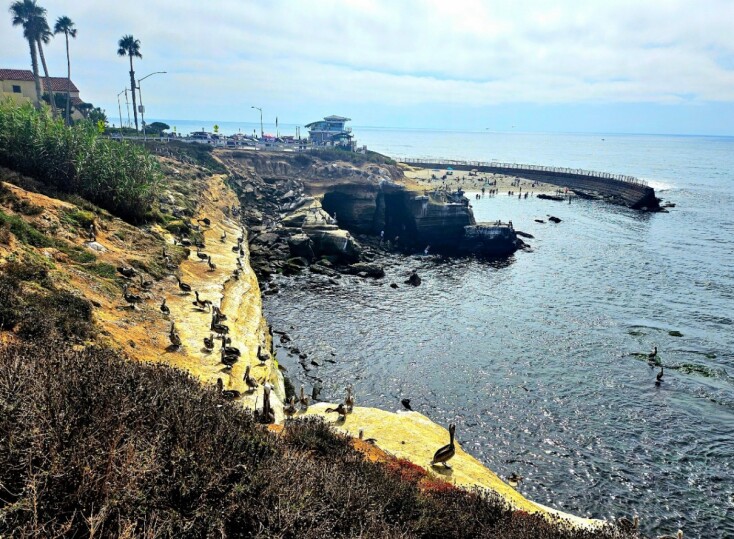 La Jolla