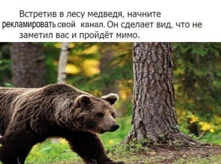 Telegram channel