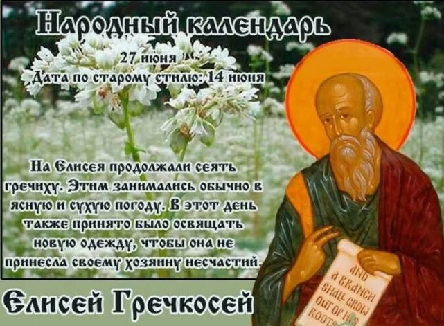5f84faed6a7e4f6a89a5cad7e4a575a78e8494b25c9e2fc24957657b869334cb.png
