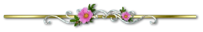 26c39d847d68edb7c0e7c16b1788a32fb3ebebb10dd190e0f9f49be3692cabb3.png