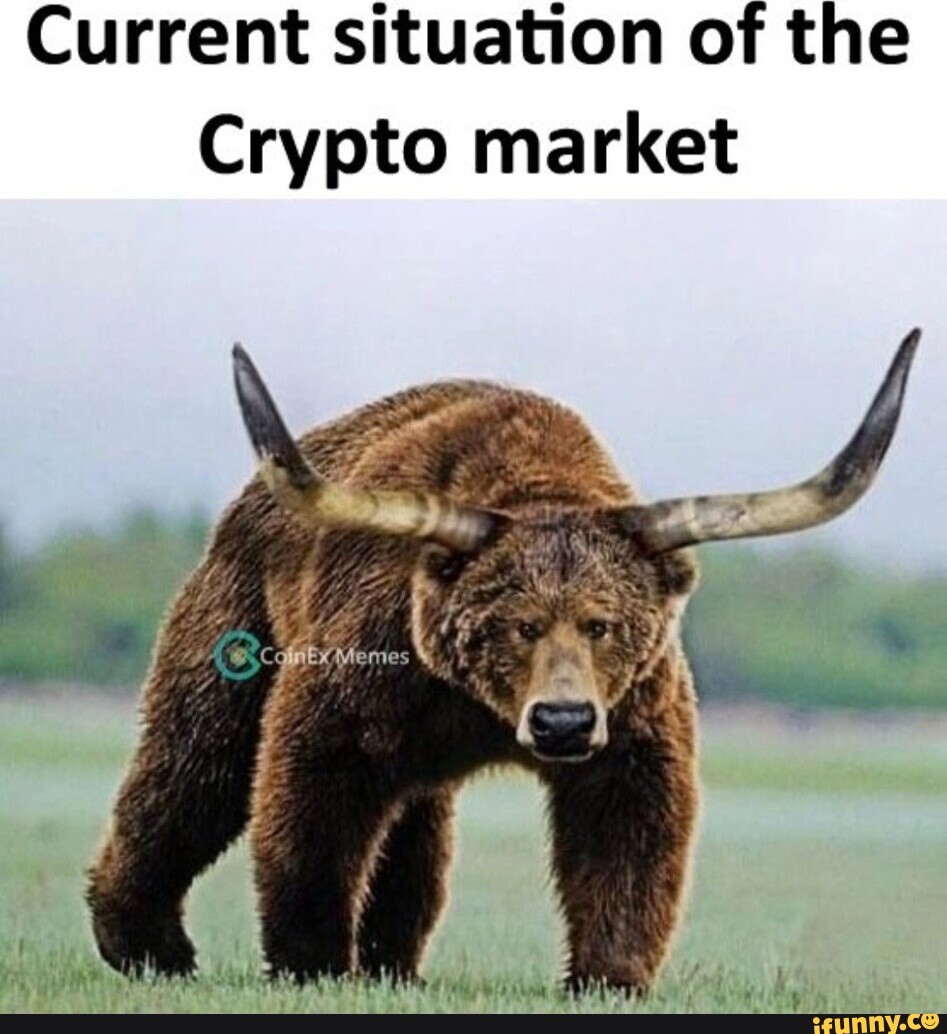 181c831c439b35da51dd336a6535de6b1945b8eff6e83be33c05044cb0cf57e0.jpg