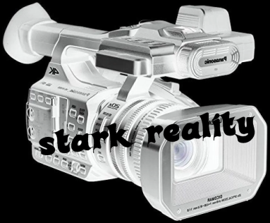 stark reality