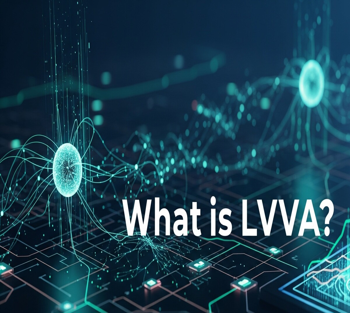 What is LVVA?