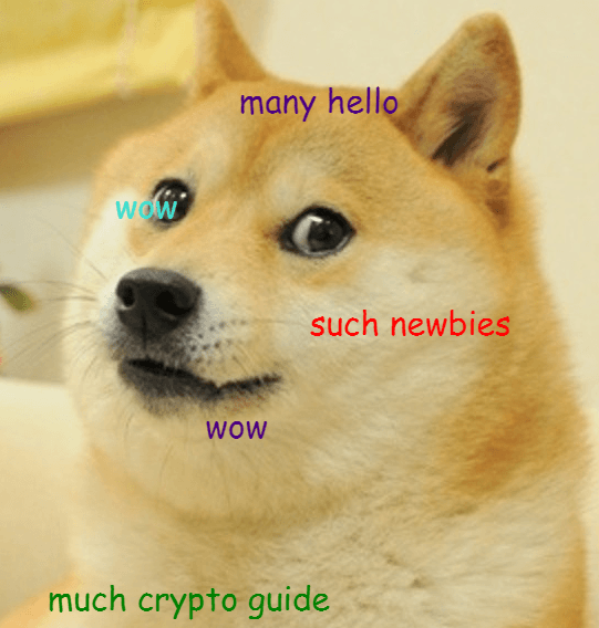 What is Dogecoin (DOGE)? [A Comprehensive Guide to ...