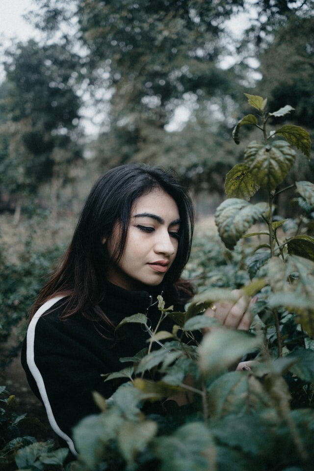 Fruit Tree