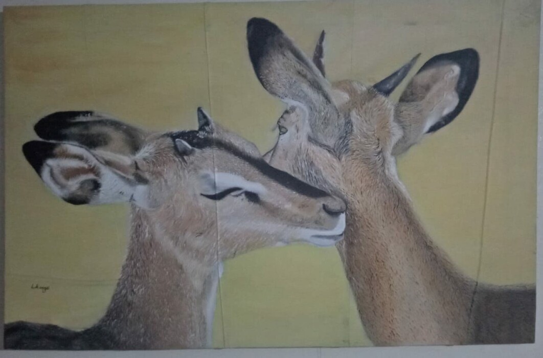 Dear deer, Darling
