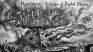 Anatomy of a Crypto Illusion: the 2$ Billion Hyperverse fraud