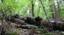 A Pleasant Spring Walk - My Actifit Report Card: June 2, 2026